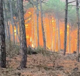 Eskişehir'de Şehit Olan Kahramanlar: Denizlili İtfaiyeciler