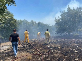 Eskişehir'deki Orman Yangınına Müdahale Sürüyor