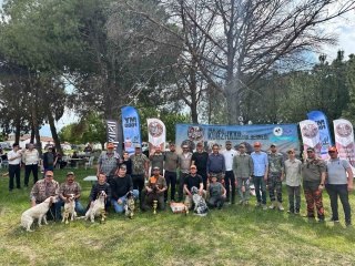 Fermalı Av Köpekleri Mera Yarışması