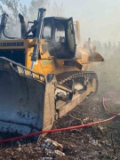 Gaziemir'deki Orman Yangınında Dramatik Anlar