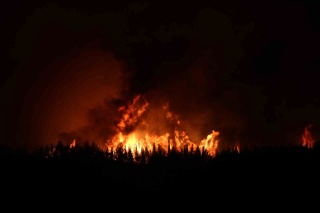 Gelibolu'da Orman Yangını: Alevlere Karşı Büyük Mücadele