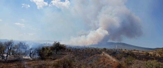 Gelibolu'da Tarım Arazisinde Yangın Paniği