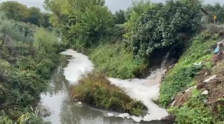 Gemlik Körfezi'ne Ulaşan Tehlike: Karsak Deresi'ndeki Kirlilik