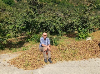 Giresun'da Fındık Fiyatları Beklentileri Aştı