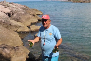 Giresun'un Şifalı Yosunları: Eğrice Plajı'nın Gizemi