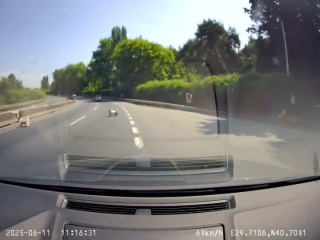 Gölcük'te Kablo Makaralarının Şaşırtan Düşüşü