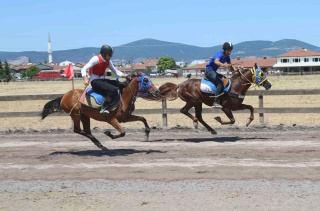 Gölcük'te Nefes Kesen Rahvan At Yarışları