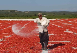 Görsel Şölen Sunan Hacırahmanlı'nın Kurutmalık Domatesleri