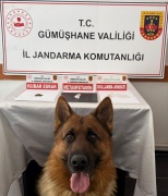 Gümüşhane'de Jandarmadan Uyuşturucu Operasyonu