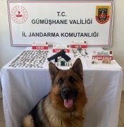 Gümüşhane'de Tarihi Eser ve Silah Operasyonu