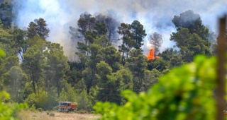 Güney Fransa'daki Dev Yangın: Alevlerle Mücadele