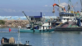 Hamsi Avında Bereket Bekleyişi