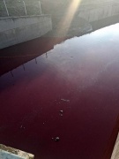 Haramidere'de Kızıl Alarm: Fabrika Atıkları ve Çevresel Etkileri