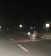 Hatay'da İlginç Ceza: Motosiklet Üzerinde Yüzüstü Yatan Sürücü