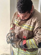 Havalandırma Boşluğunda Kalan Yavru Kedinin Kurtuluşu