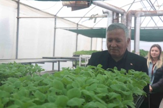 Honaz Belediyesi, Ata Tohumları ile Vatandaşlara Fide Dağıtıyor