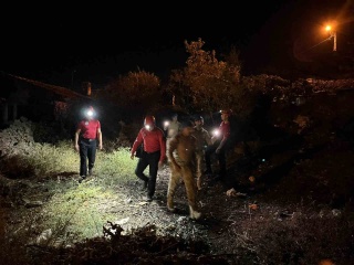 İncirliova'da Alzheimer Hastası Kadın Her Yerde Aranıyor