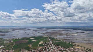 İpsala İlçesindeki Çeltik Tarlaları Havadan Görüntülendi