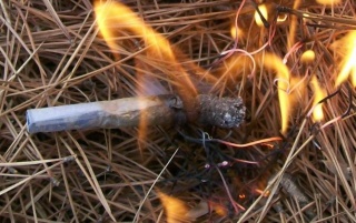 İspanya ve Portekiz'de Yıkıcı Orman Yangınları