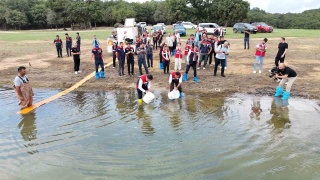 İstanbul'un Sularına 3,7 Milyon Sazan Yavrusu Bırakıldı