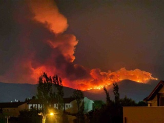 İzmir Ödemiş'te Korkutan Yangın