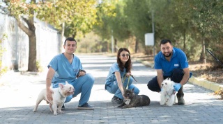 İzmir'de Kurtarılan Köpekler Yeni Yuvalarını Arıyor