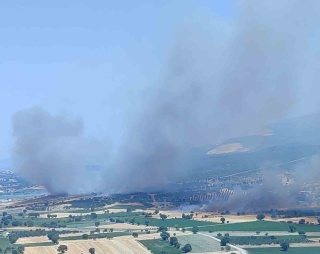 İzmir'de Orman Yangınına Başarılı Müdahale