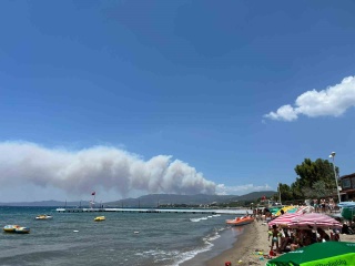 İzmir'deki Orman Yangınındaki Zorlu Mücadele