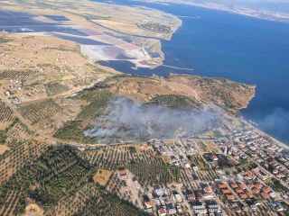 İzmir'in Dikili İlçesinde Orman Yangınına Müdahale