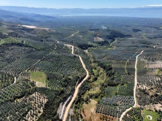 İznik Barajı: Tarımsal Sulama ve İçme Suyu
