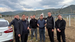 İznik İlçesinde Meyve Ağaçları Dondan Zarar Gördü