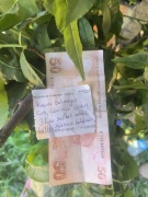 İznik'te İnsanı Duygulandıran Hareket