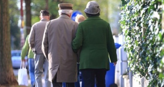 Japonya'da Asırlık Çınarların Rekor Artışı: Bir Ulusun Uzun Ömürlü Sırları