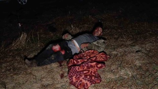 Kaçan Aslanın Ardından Manavgat'ta Sıkı Denetim