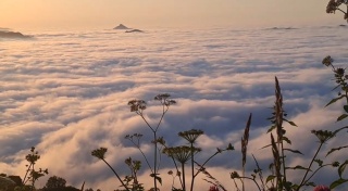 Karadeniz Yaylalarında Bulut Denizi Büyüsü