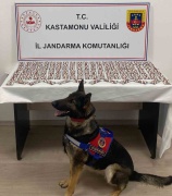 Kastamonu Tosya'da Sentetik Hap Operasyonu