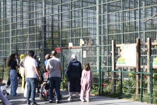 Kayseri'de Hayvanseverler İçin Anlamlı Gün