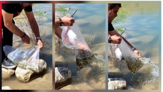 Kırsal Kalkınmada Büyük Adım: IPARD Programları ve Yatırımlar