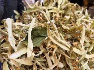 Kış Aylarının Şifa Deposu: Ihlamur