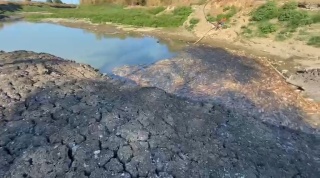 Kocabaş Çayı'nda Balık Ölümleri: Kuraklığın Vahim Etkileri