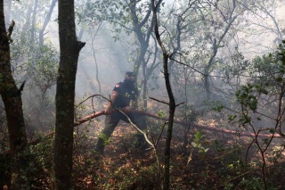 Kocaeli Orman Yangınına Kapsamlı Müdahale