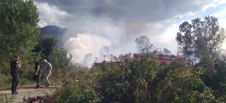 Kocaeli'de Sazlık Alanda Çıkan Yangın Kısa Sürede Söndürüldü