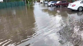 Köyceğiz'de Sağanak Yağış Sonrası Su Baskınları ve Yükselen Göl Seviyesi