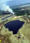 Köyceğiz'de Sazlık Alan Yangını