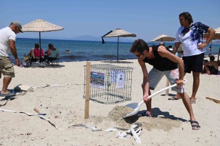 Kuşadası'nda Caretta Caretta Yumurtaları Güven Altında