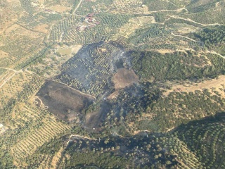 Kuyucak'ta Çıkan Yangın Hızla Kontrol Altına Alındı