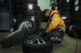 Lastikçinin Cesareti: Tavuk ve Sokak Köpeklerinin Hikayesi