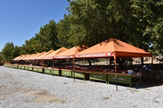 Magnesia Antik Kenti'nin Tarihi Köy Pazarı Hazırlıkları