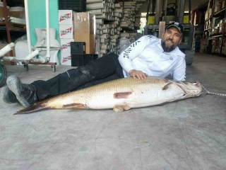 Malatya'da Dev Turna Balığı Yakalandı