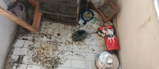 Mangal Keyfi Yangın İhbarına Dönüştü